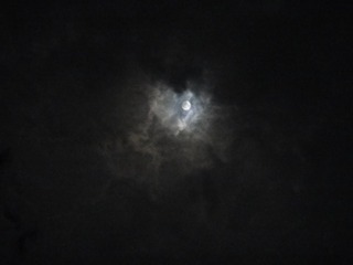 562