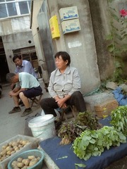 “DSCN3379”为智能对象-1副本.jpg
