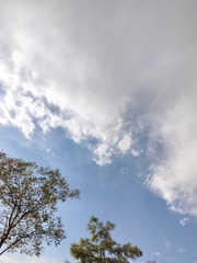 1000002539