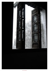 20120526-DSC_2892.jpg