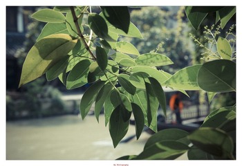 20120526-DSC_2945.jpg