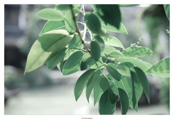 20120526-DSC_2949.jpg