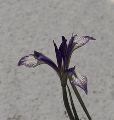 BD547C71-F3CB-474E-9547-1C7C5E212612/L0/001