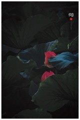 6F7A4951-46F7-40AA-BF0B-C83AE3FDF4B0/L0/001