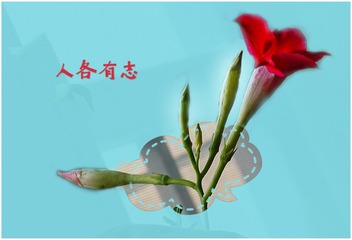 BF8CEE63-7EBB-46D5-9E27-6ACE8D000117/L0/001