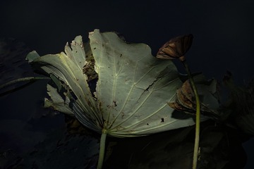 285BCE01-A73E-4976-B464-9EA4737F1C66/L0/001
