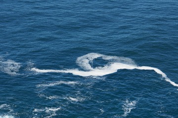D832AC6F-BC2E-43B6-8576-A4077833DE7C/L0/001