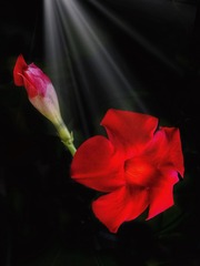 E83C47F4-A6B1-4551-9C00-B116787287EA/L0/001
