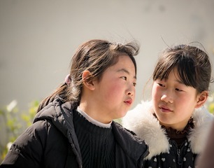 966591