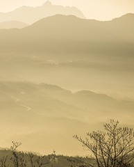 996834
