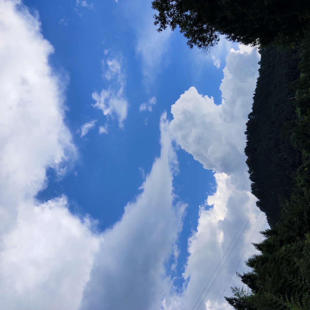 风景照天空照人像照花朵照生活照一应俱全混图杂图大全