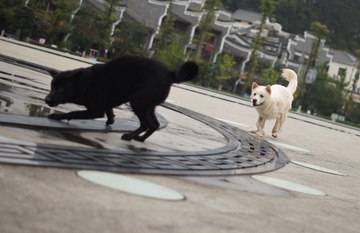 （修）DSC04059