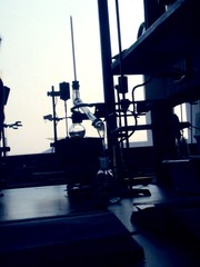20101223661.jpg