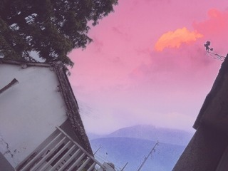 1006304