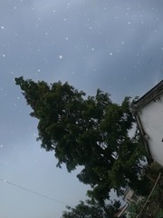 1006303