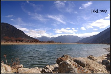 LJY_1667