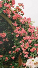 33CA6CCF-AF9D-4B5C-A3B3-3E79CE8FFF05/L0/001