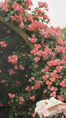 1B50E1A8-73BE-4B02-A22B-020AB3587D6A/L0/001