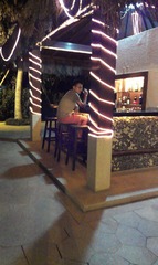 IMAG0345.jpg
