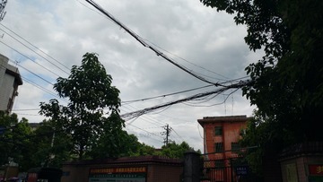 3856846