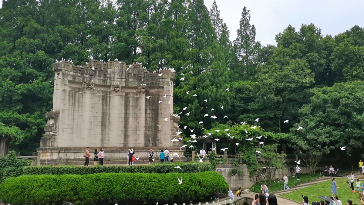 音乐台的群鸽