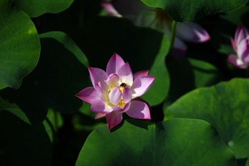 86C2ED80-15CC-43D7-8958-4ED5431E70A9/L0/001