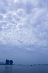 IMG_3653.jpg