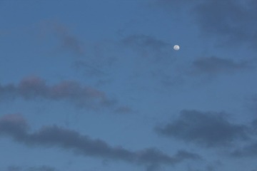 IMG_4093.jpg