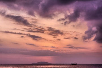 IMG_4375.jpg