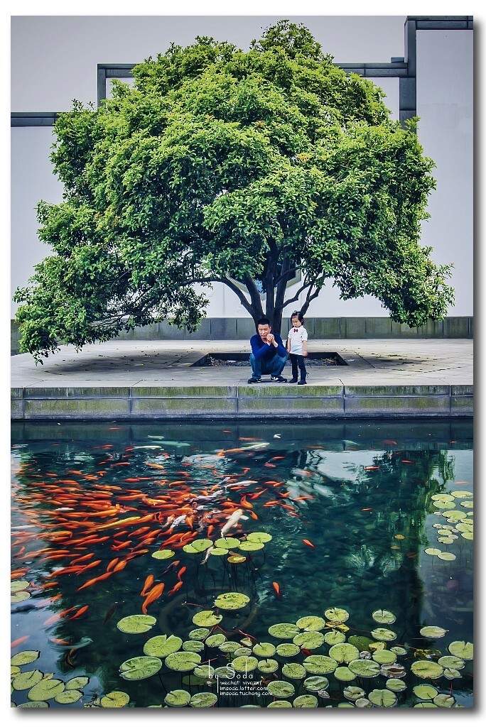 时间停在水中央。