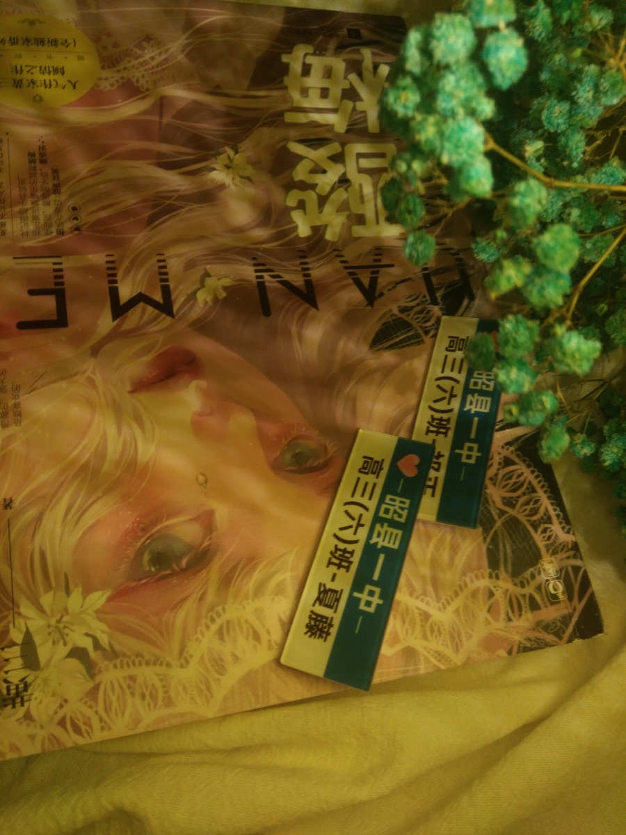 00酸梅03 by黄三祁正&夏藤"夏藤,你记清楚,老子是你救世主.