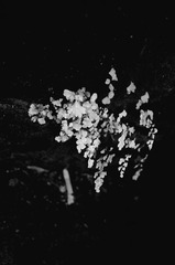 R0000149