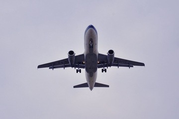 Dd 070.jpg