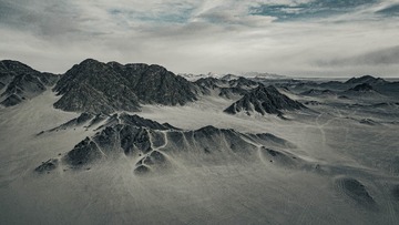 1000031158