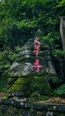 1000066254