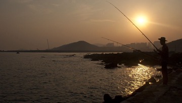 DSC00049.jpg
