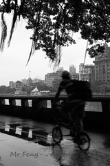 IMG_0616ss