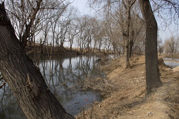IMGP0454-1.jpg