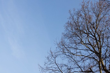 IMGP0840-1.jpg