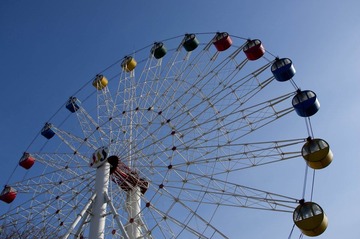 IMGP0907-1.jpg