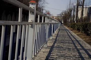 IMGP1072-1.jpg