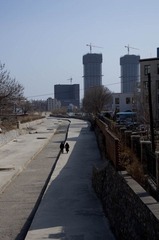IMGP1047-1.jpg