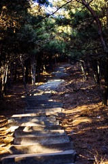 IMGP1377-2.jpg