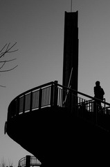 IMGP1363-1.jpg