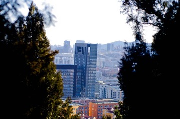 IMGP1380-2.jpg