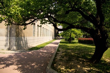 IMGP2210-1.jpg
