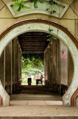 IMGP3125-1.jpg