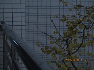 2309135
