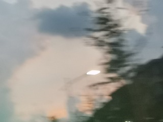 64445