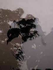 1000024113